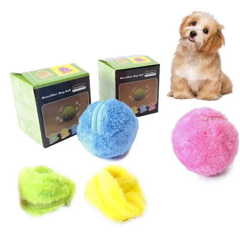 The Magic Roller Ball: A Solution for Dogs with Limited Mobility